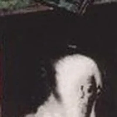 Freddie Collins