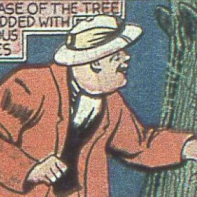 Freddy