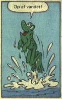 Freddy Frog