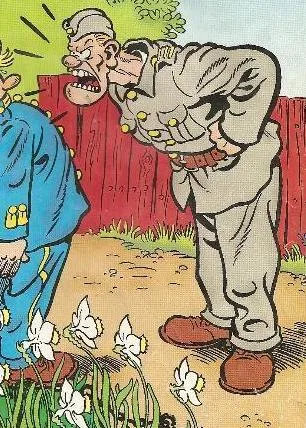 Furir Revär