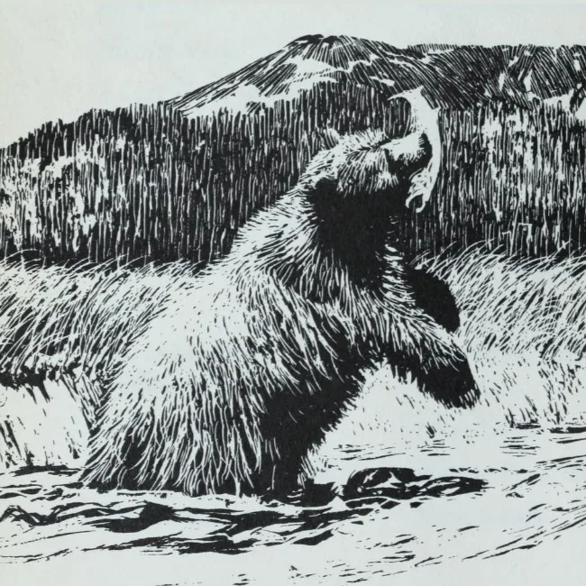 Gentle Ben