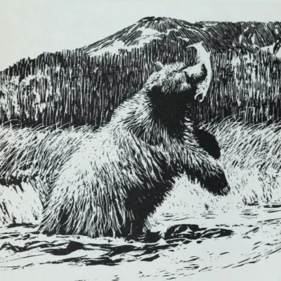 Gentle Ben