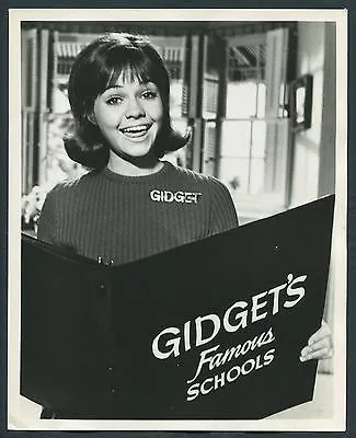 Gidget