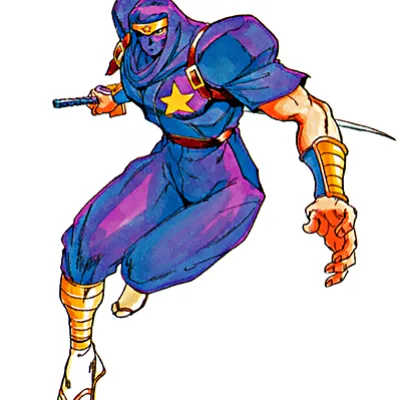 Ginzu the Ninja