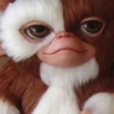 Gizmo