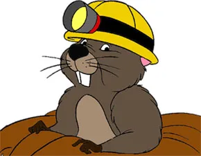 Gopher