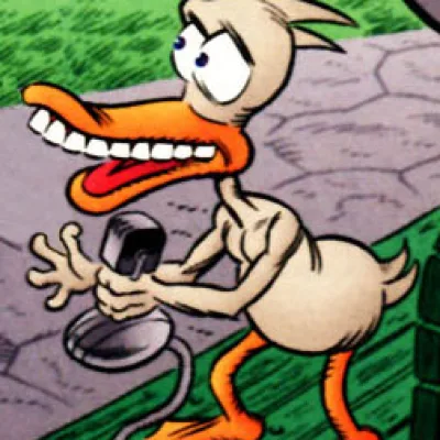 Gower Goose