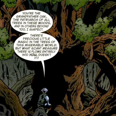 Grandfather Oak