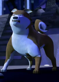 Hachiko