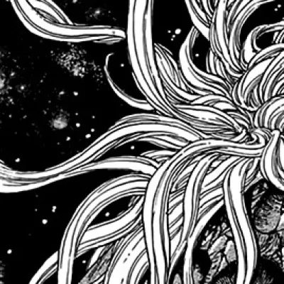 Hair Monster