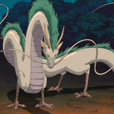 Haku