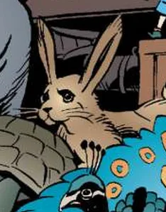 Hare