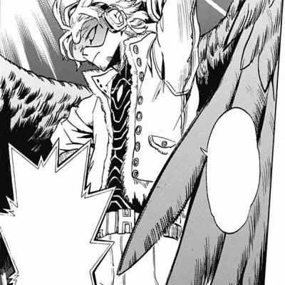 Hawks