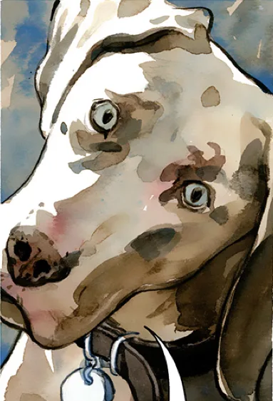 Hazel
