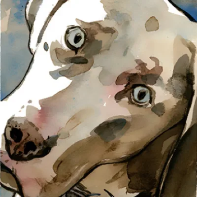 Hazel