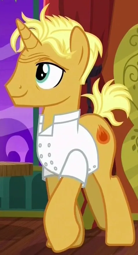 Head Chef Pony
