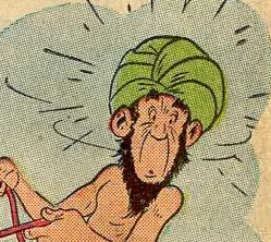 Hindu Fakir