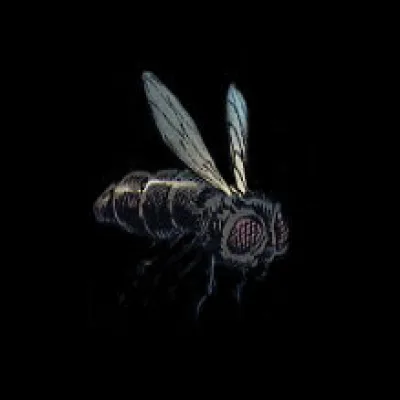 Hive