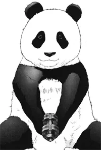 Hoi Hoi