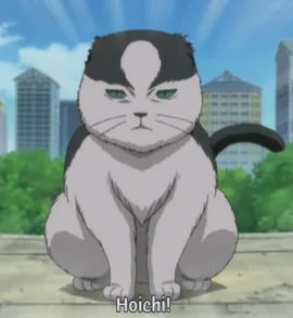 Hoichi