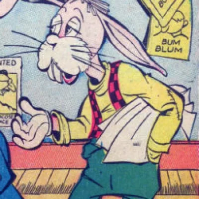 Homer Rabbit