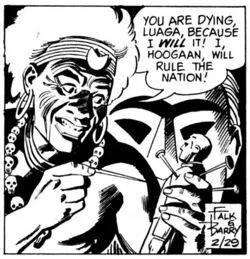 Hoogaan