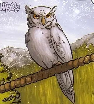 Hooter