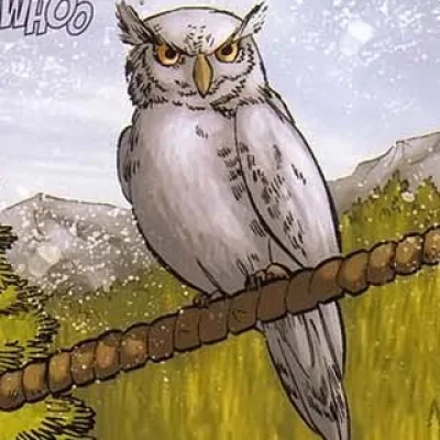 Hooter