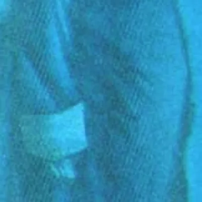 Hsien Ming-Ho