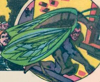 Human Fly