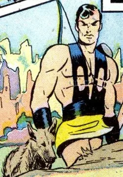 Hunt Bowman