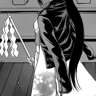 Ikaruga Suiten