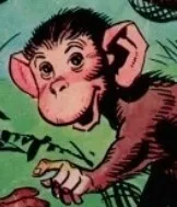 Iki