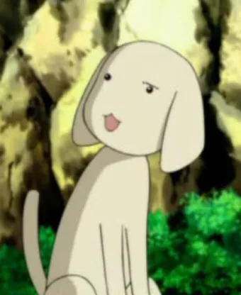 Inu-Inu