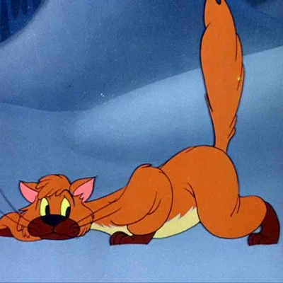 Ivan the Cat