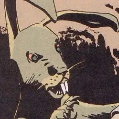 Jack Rabbit