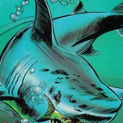 Jaws