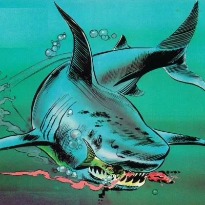 Jaws
