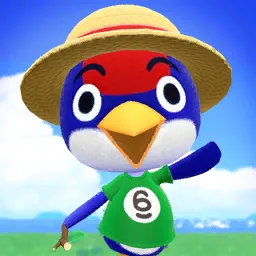 Jay