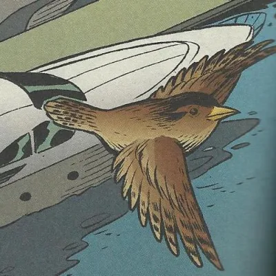 Jenny Wren