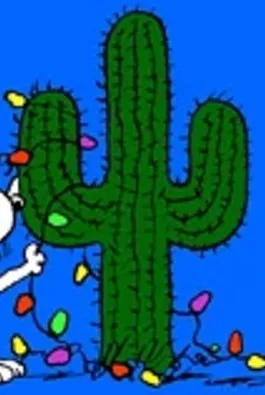Joe Cactus