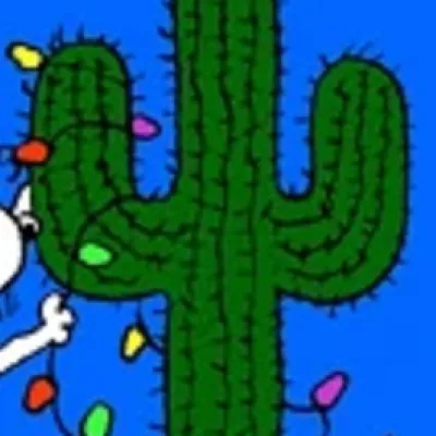 Joe Cactus