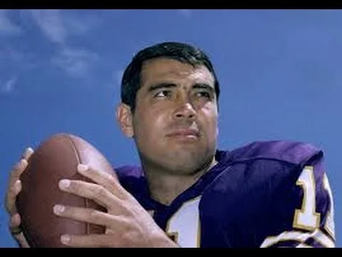Joe Kapp