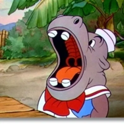 Joey Hippo