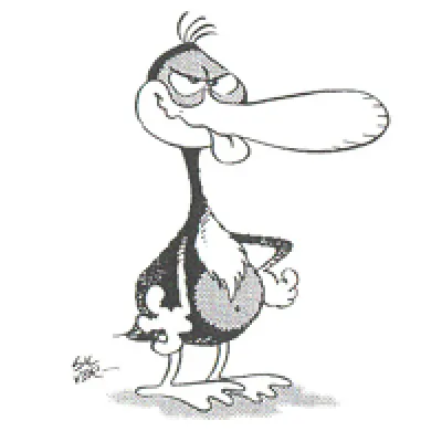 Joseph the Duck