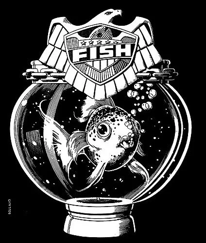 Judge Fish