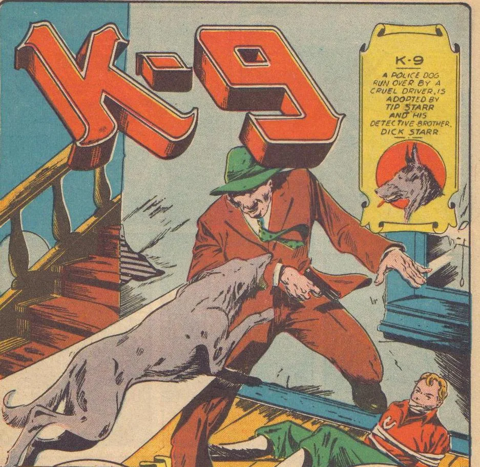 K-9