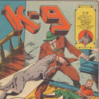 K-9