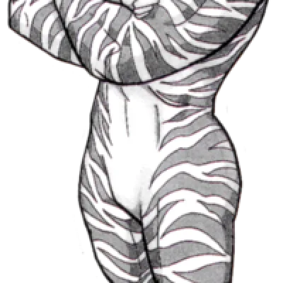 Kinnikuman Zebra