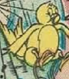 Kitchen Canary